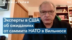 Фельштинский: «Реально Украина уже в НАТО – получает оружие и создала самую боеспособную армию в Европе» 