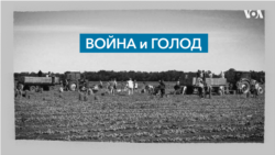 Война и голод: как вторжение России в Украину повлияет на продовольственную безопасность?
