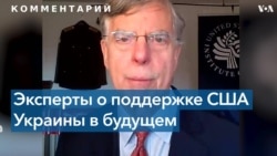 Бывший посол США в Украине о новом созыве Конгресса и Украине 