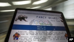 Скриншот веб-сайта группы прокремлевских хакеров - Fancy Bears (fancybear.net) на экране компьютера (архивное фото).