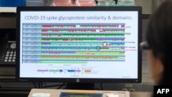 Компьютерная модель структуры белка потенциальной вакцины от COVID-19. Снимок сделан в лаборатории фирмы Novavax в Роквилле, штат Мэриленд 